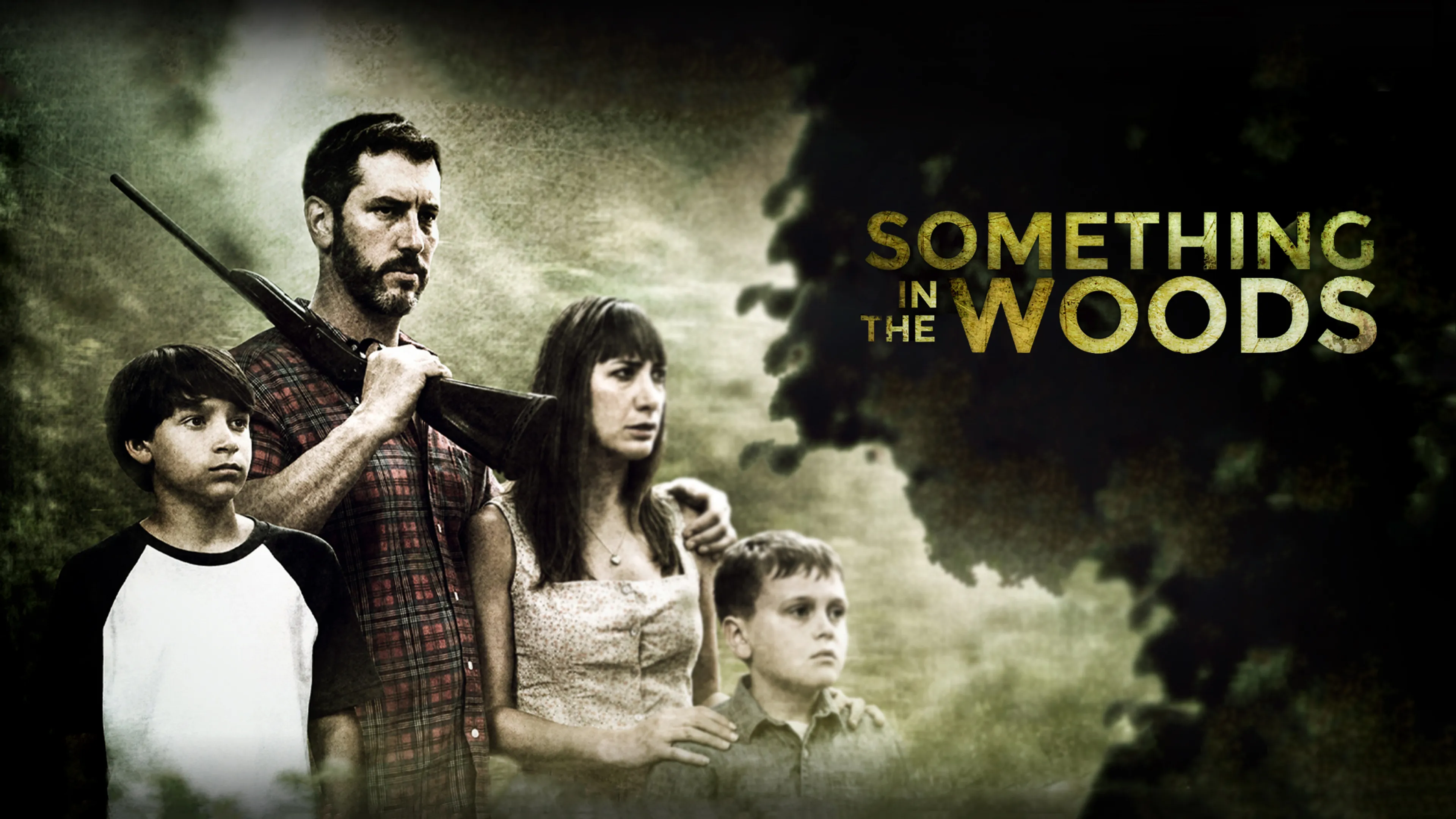 Something In The Woods poster